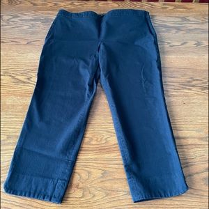 Talbots Chatham pants